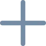 Plus SVG Icon